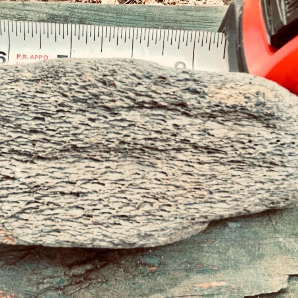 AUTHENTIC DINOSAUR BONES.. LARGE, HEAVY!! & Ready to Ship!! Pre-Historic Era.